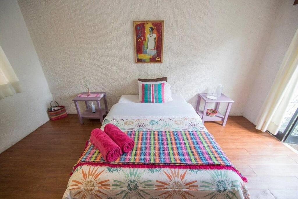 Villa Casa Ayvar. Espectacular Villa Colonial En El Corazon De Coyoacan. เม็กซิโกซิตี้ ภายนอก รูปภาพ